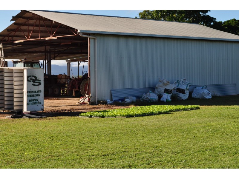 Lot 3, 1013 Mareeba – Dimbulah Road, Mareeba QLD 4880