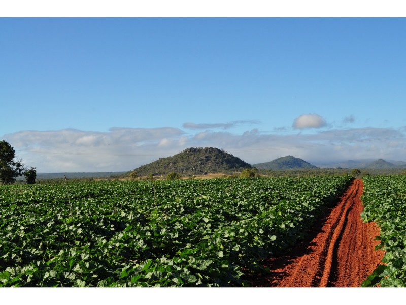 Lot 3, 1013 Mareeba – Dimbulah Road, Mareeba QLD 4880