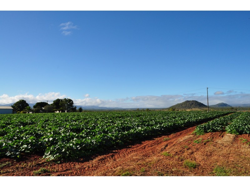 Lot 3, 1013 Mareeba – Dimbulah Road, Mareeba QLD 4880