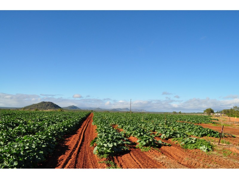 Lot 3, 1013 Mareeba – Dimbulah Road, Mareeba QLD 4880