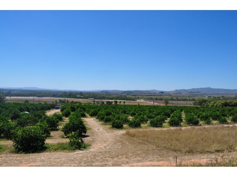 136 Leafgold Weir Road, Dimbulah QLD 4872