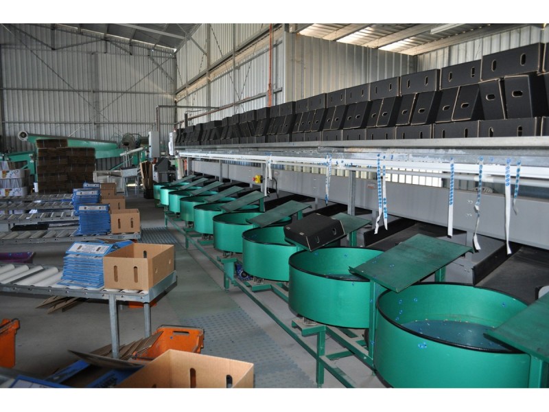 136 Leafgold Weir Road, Dimbulah QLD 4872