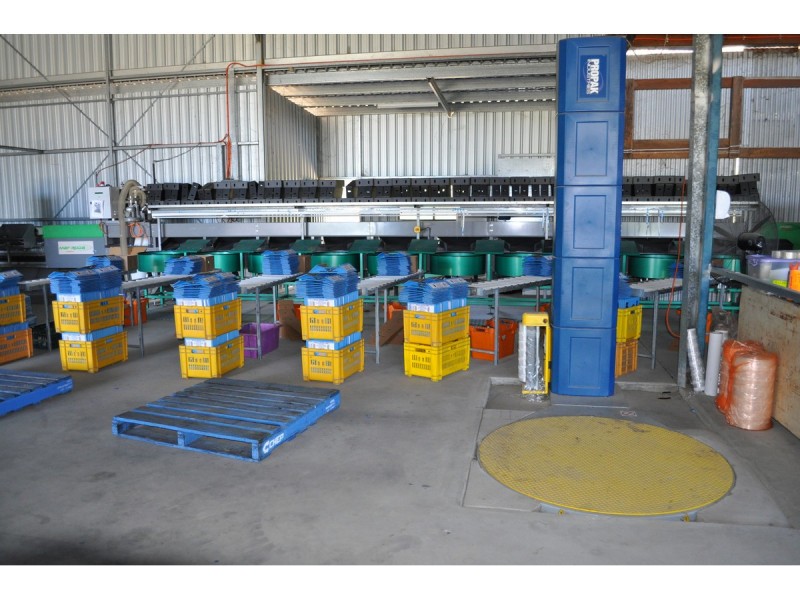 136 Leafgold Weir Road, Dimbulah QLD 4872