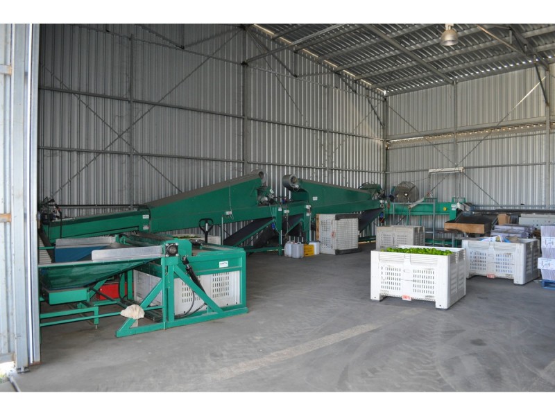 136 Leafgold Weir Road, Dimbulah QLD 4872