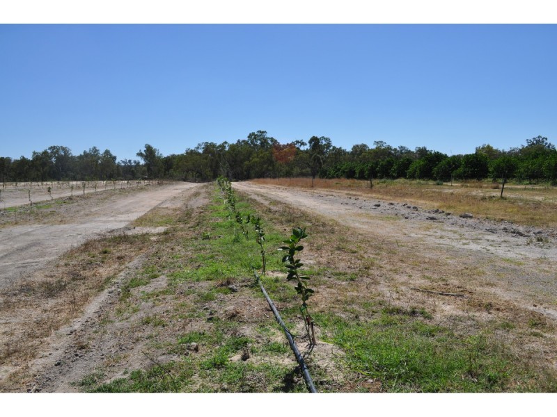 136 Leafgold Weir Road, Dimbulah QLD 4872