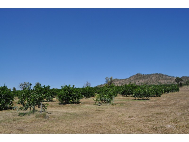 136 Leafgold Weir Road, Dimbulah QLD 4872