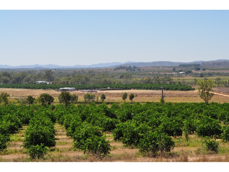 136 Leafgold Weir Road, Dimbulah QLD 4872