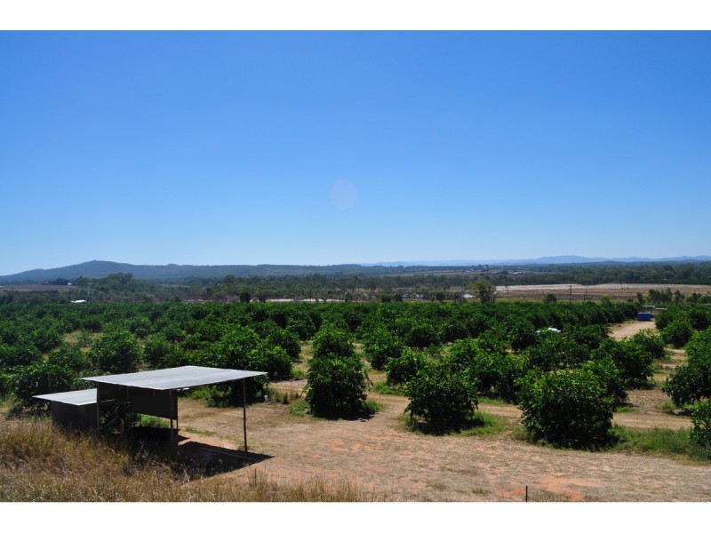 136 Leafgold Weir Road, Dimbulah QLD 4872