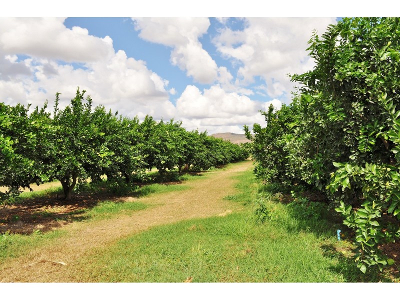 88-112 Sandy Creek Road, Dimbulah QLD 4872