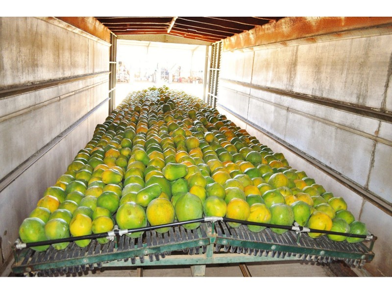 88-112 Sandy Creek Road, Dimbulah QLD 4872