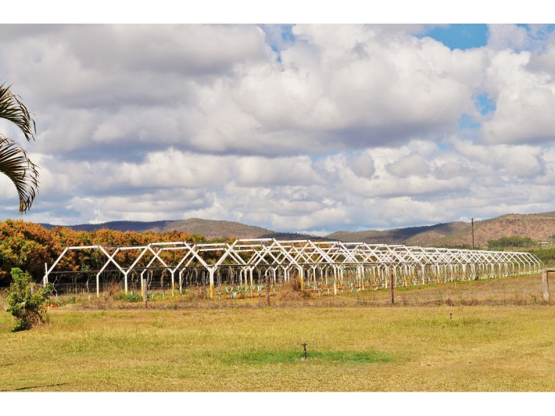 88-112 Sandy Creek Road, Dimbulah QLD 4872