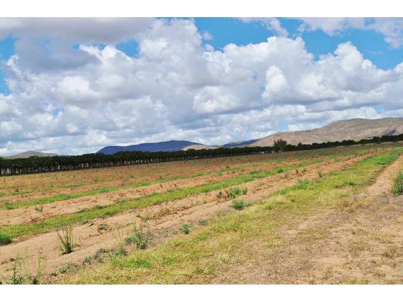 88-112 Sandy Creek Road, Dimbulah QLD 4872