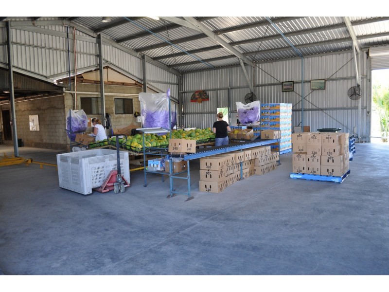 88-112 Sandy Creek Road, Dimbulah QLD 4872