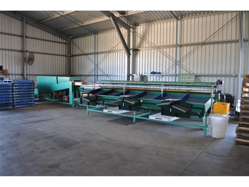 88-112 Sandy Creek Road, Dimbulah QLD 4872