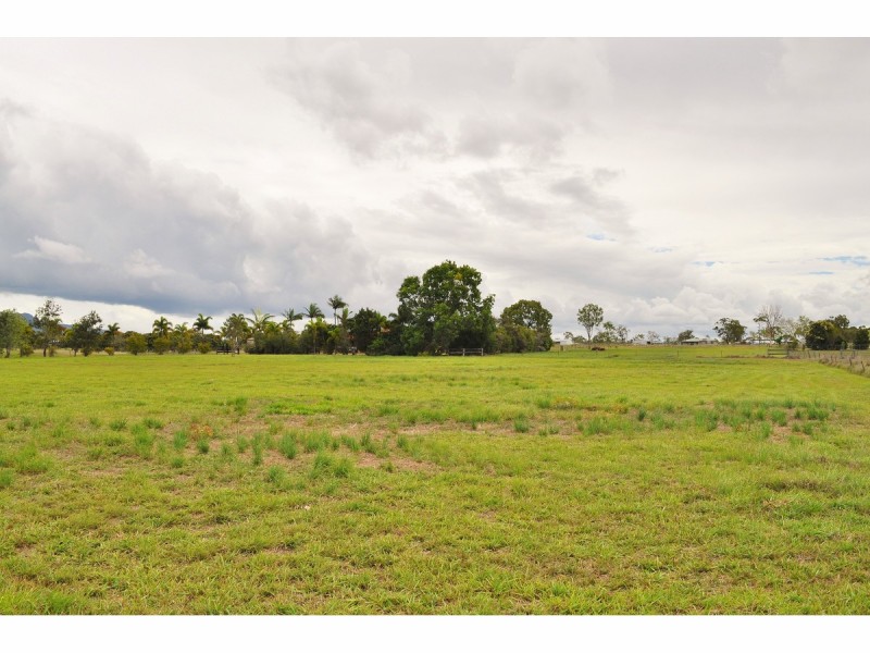 236 Malone Road, Mareeba QLD 4880