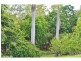 11 Riverview Close, Mareeba QLD 4880