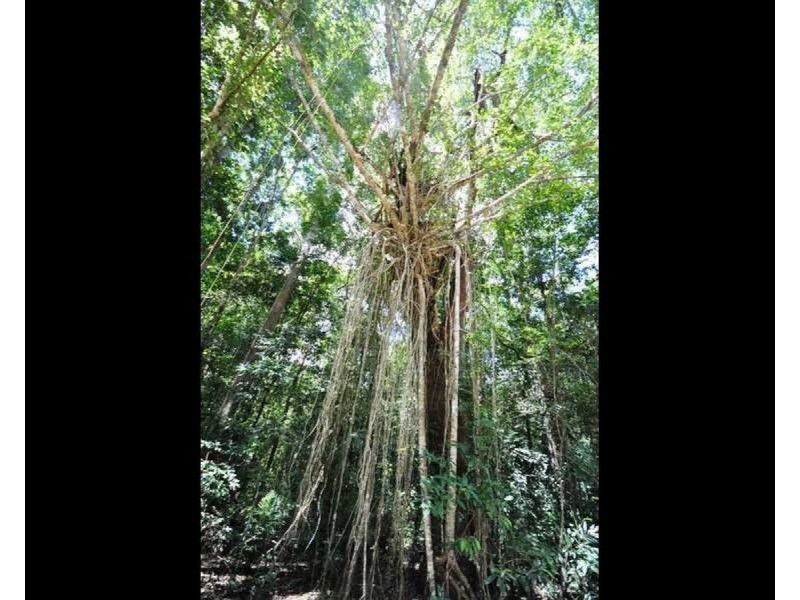 Lot 1 Bump Road, Julatten QLD 4871