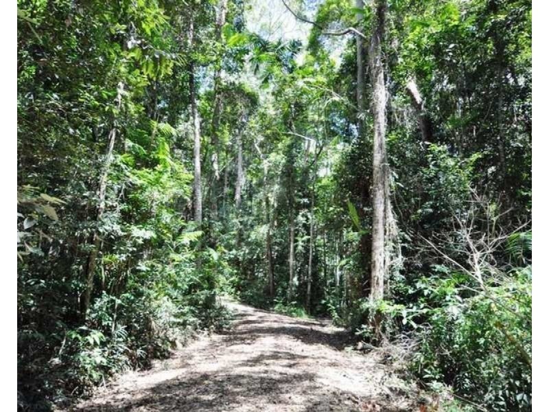 Lot 1 Bump Road, Julatten QLD 4871