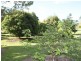 2 Catherine Close, Mareeba QLD 4880