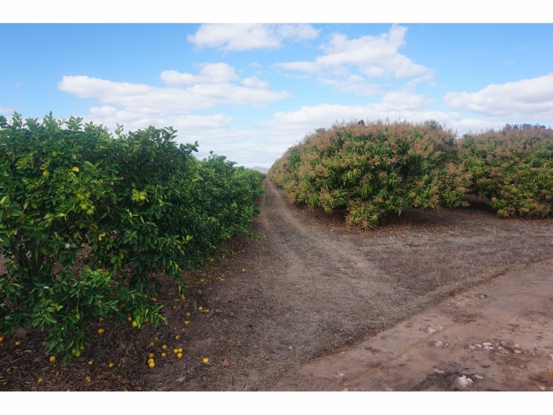 65249 BURKE DEVELOPMENTAL, Dimbulah QLD 4872