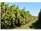 65249 BURKE DEVELOPMENTAL, Dimbulah QLD 4872