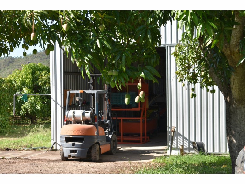 65249 BURKE DEVELOPMENTAL, Dimbulah QLD 4872