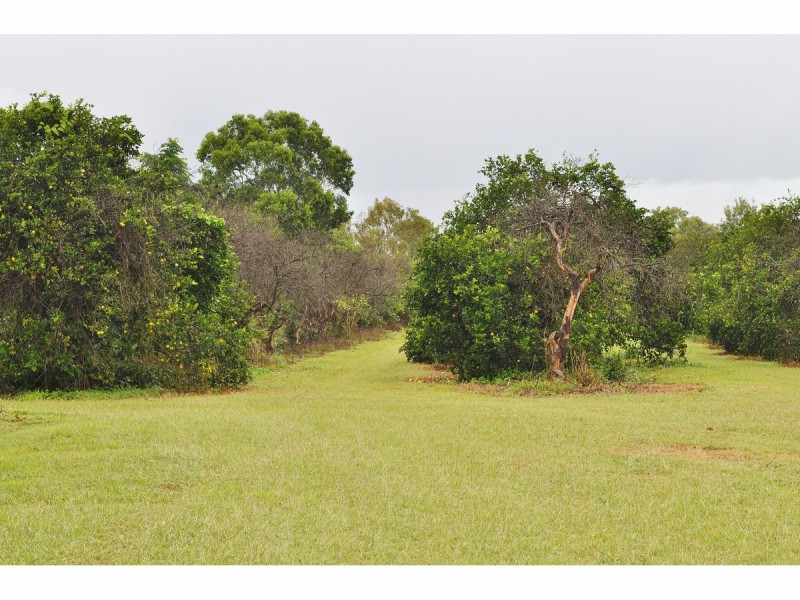 371 Emerald End Road, Mareeba QLD 4880