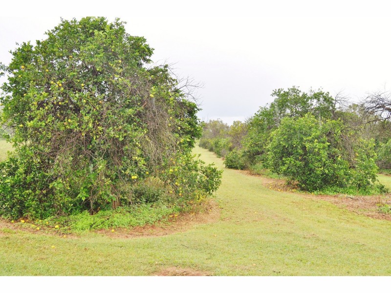 371 Emerald End Road, Mareeba QLD 4880