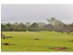 371 Emerald End Road, Mareeba QLD 4880