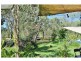 141 Vallely Road, Biboohra QLD 4880