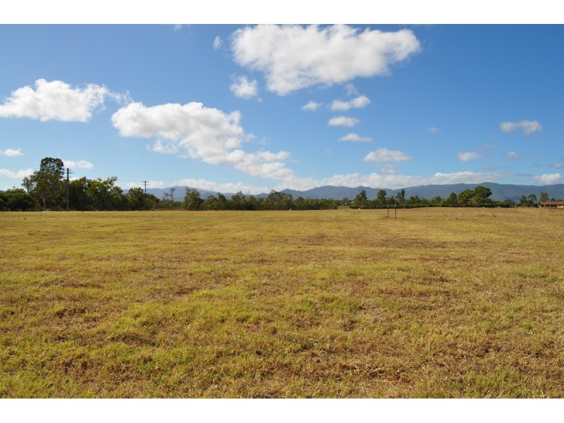 Lot 310,  Bellevue Estate, Mareeba QLD 4880