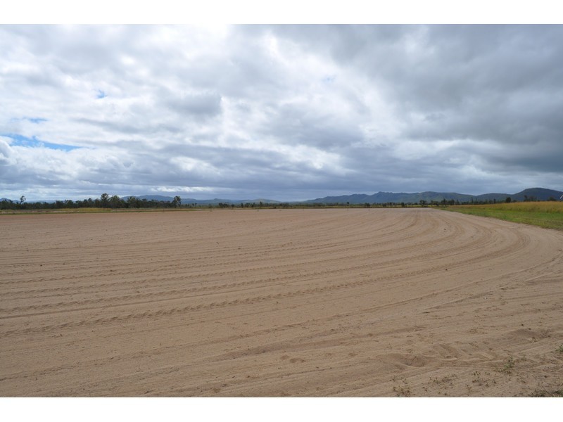 298 Fumar Road, Mutchilba QLD 4872
