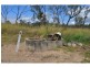 298 Fumar Road, Mutchilba QLD 4872