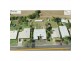 31 Martin Avenue, Mareeba QLD 4880 Floorplan