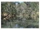 836 Wolfram Road, Dimbulah QLD 4872