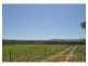 836 Wolfram Road, Dimbulah QLD 4872