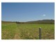 836 Wolfram Road, Dimbulah QLD 4872
