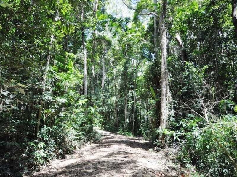 Lot 1 Bump Road, Julatten QLD 4871