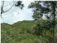Lot 1 Bump Road, Julatten QLD 4871
