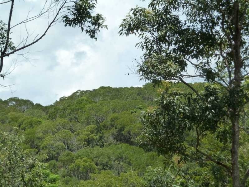 Lot 1 Bump Road, Julatten QLD 4871