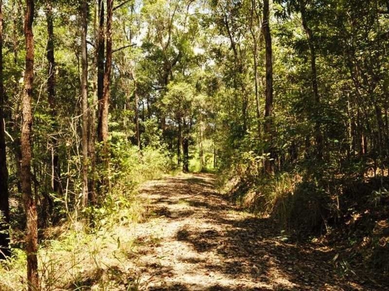 Lot 1 Bump Road, Julatten QLD 4871