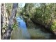 Lot 310,  Bellevue Estate, Mareeba QLD 4880