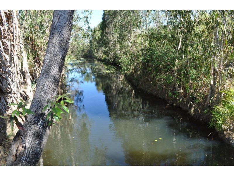 Lot 310,  Bellevue Estate, Mareeba QLD 4880