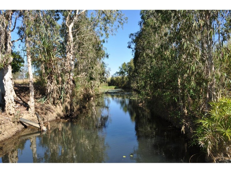 Lot 310,  Bellevue Estate, Mareeba QLD 4880