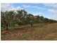 Lot 3 & 4 & 252, 550 Narcotic Creek Road, Mareeba QLD 4880