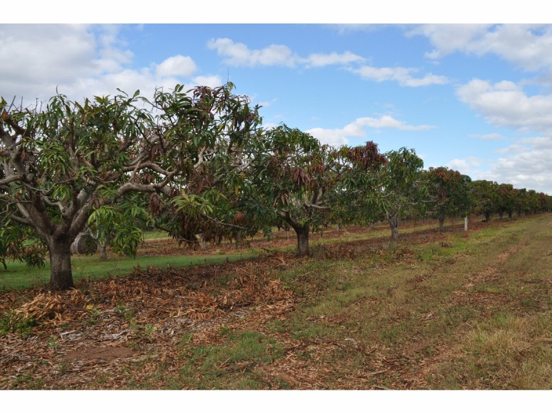 Lot 3 & 4 & 252, 550 Narcotic Creek Road, Mareeba QLD 4880