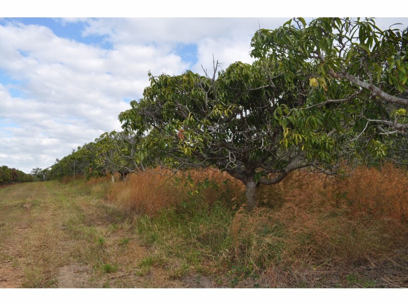 Lot 3 & 4 & 252, 550 Narcotic Creek Road, Mareeba QLD 4880
