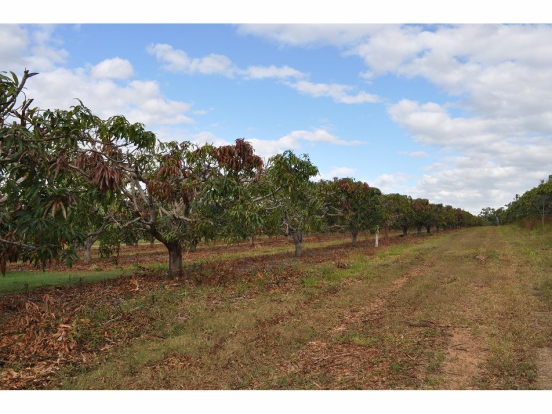 Lot 3 & 4 & 252, 550 Narcotic Creek Road, Mareeba QLD 4880