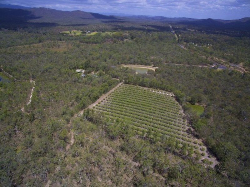 27 Clohesy River Road, Koah QLD 4881