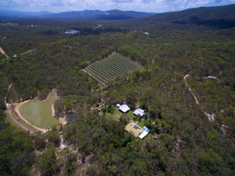 27 Clohesy River Road, Koah QLD 4881